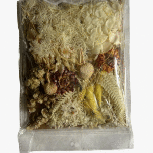 Assorted Dry Flower